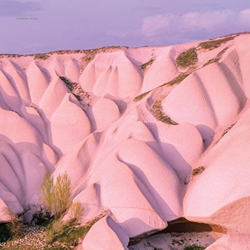 Autechre: Amber / RECORD