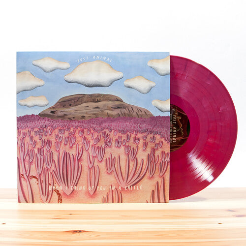 Post Animal: When I Think Of You In A Castle ( / RECORD