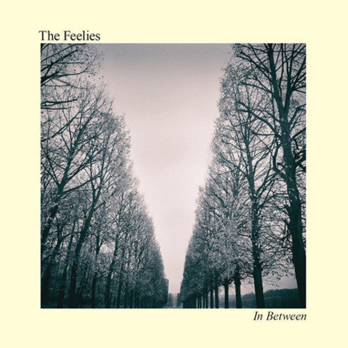 The Feelies: In Between / RECORD