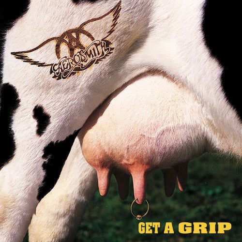 Aerosmith: Get A Grip / RECORD