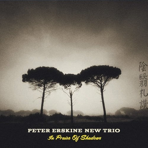 Peter Erskine New Trio: In Praise Of Shadows - CD