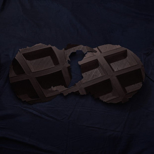 Dirty Projectors: Dirty Projectors / RECORD