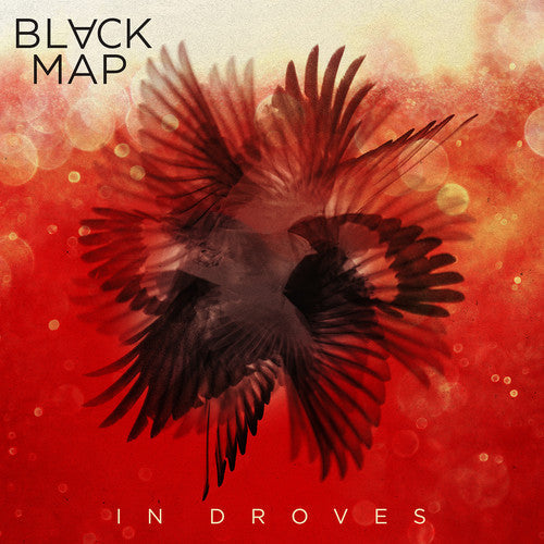 Black Map: In Droves / RECORD