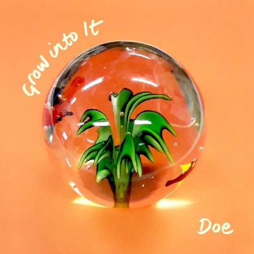 Doe: Grow Into It - CD
