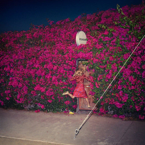 Feist: Pleasure / RECORD