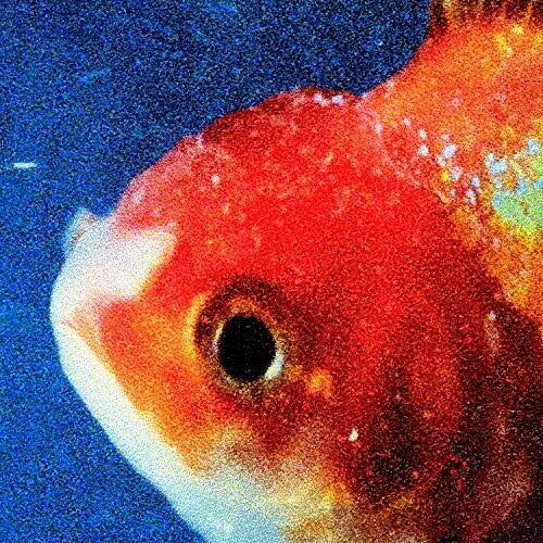 Vince Staples: Big Fish Theory / RECORD