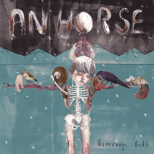 An Horse: Rearrange Beds / RECORD