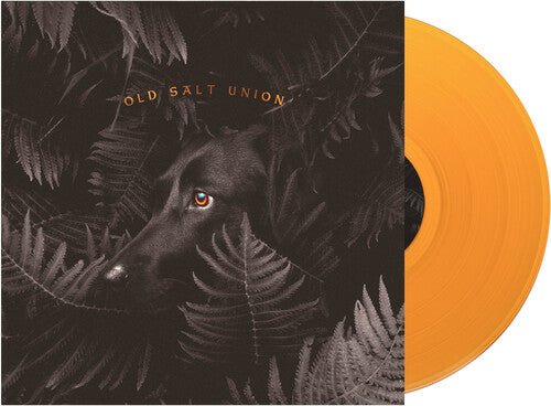 Old Salt Union: Where The Dogs Don't Bite / RECORD