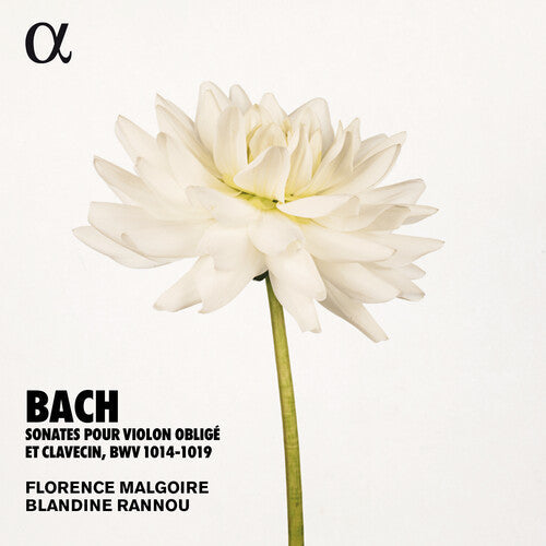 Bach, J.S. / Rannou / Malgoire: Sonates Violon Oblige  { CD }