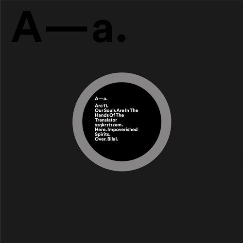 Our Souls Are in the Hands of the Translator: Our Souls Are In The Hands Of The Translator  / Vinyl LP