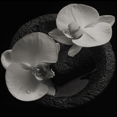 Mike Patton: Corpse Flower / RECORD
