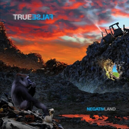 Negativland: True False / RECORD