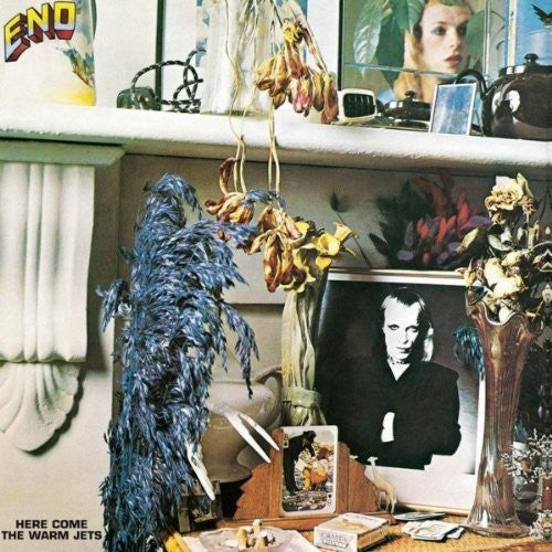Brian Eno: Here Come The Warm Jets / RECORD