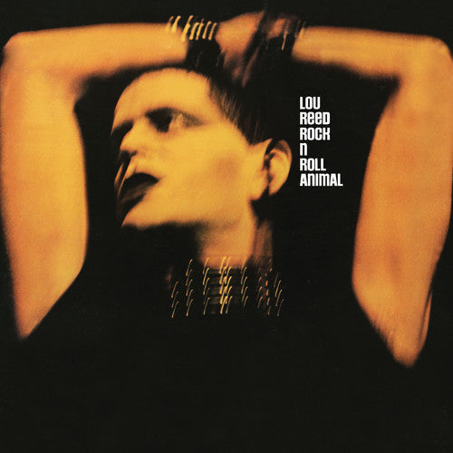 Lou Reed: Rock N Roll Animal / RECORD