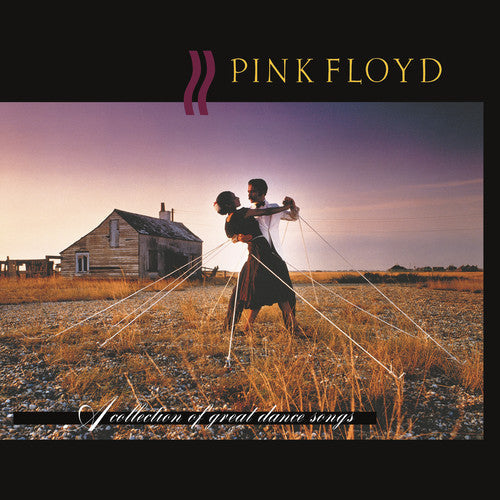 Pink Floyd: A Collection Of Great Dance Songs / RECORD