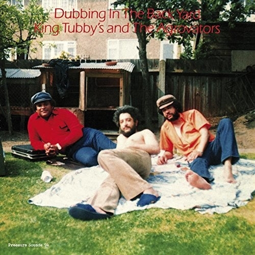 King Tubby's Agrovators: Dubbing In The Back Yard / RECORD
