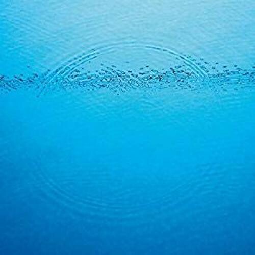 Caribou: Suddenly / RECORD
