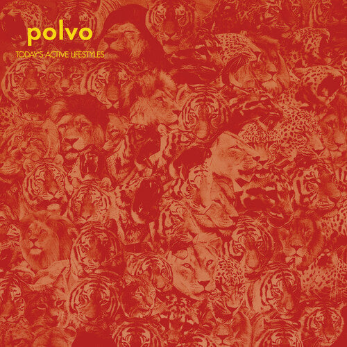 Polvo: Today's Active Lifestyles / RECORD