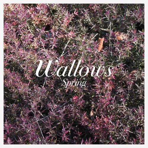 Wallows: Spring / RECORD