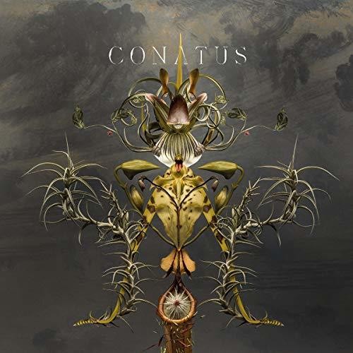 Joep Beving: Conatus  / Vinyl LP