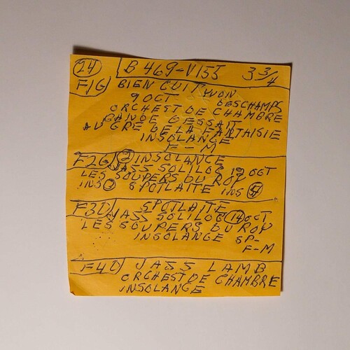 Mac DeMarco: Here Comes The Cowboy Demos / RECORD