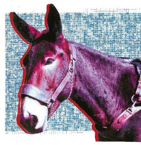 Protomartyr: Ultimate Success Today / RECORD