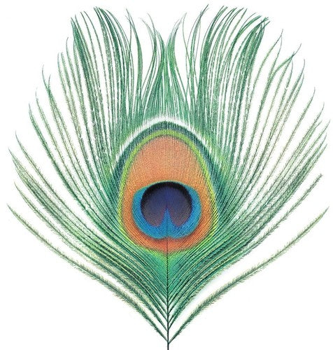 XTC: Apple Venus Vol 1 / RECORD