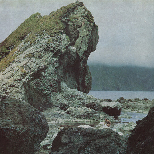 Motorama: Many Nights / RECORD