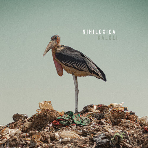 Nihiloxica: Kaloli / RECORD