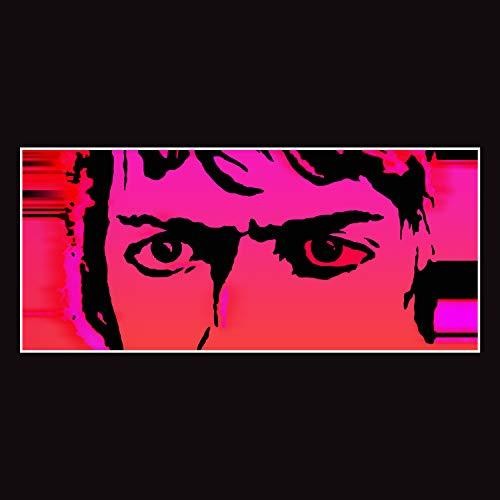 Delicate Steve: Till I Burn Up / RECORD