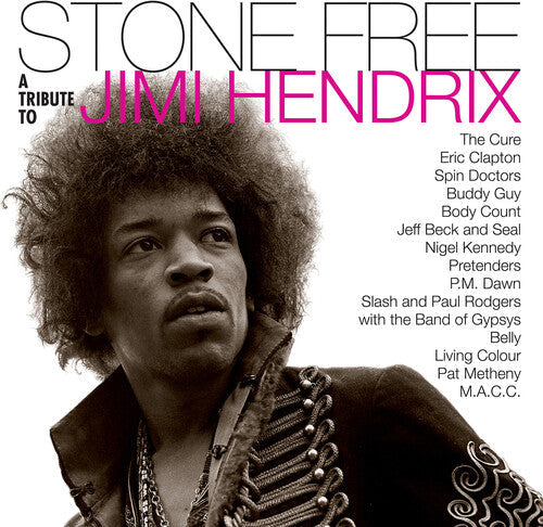 Jimmy Tribute Hendrix: Stone Free: Jimi Hendrix Tribute / RECORD