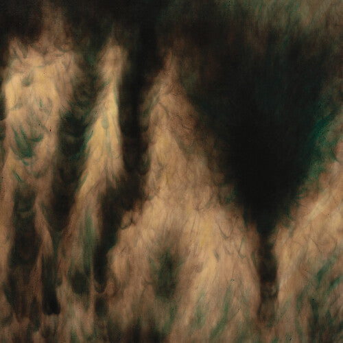 William Basinski: Lamentations / RECORD