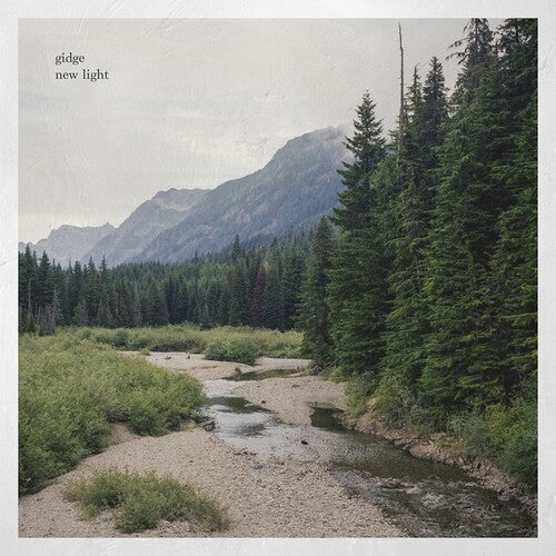 Gidge: New Light / RECORD