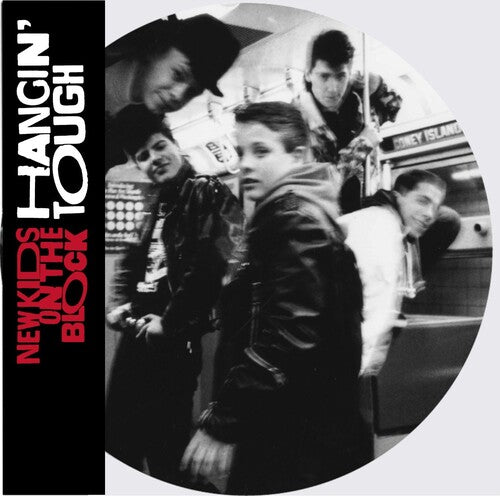 New Kids on the Block / Nkotb: Hangin' Tough (Ltd Picture Disc) / RECORD