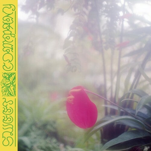 Jabu: Sweet Company / RECORD