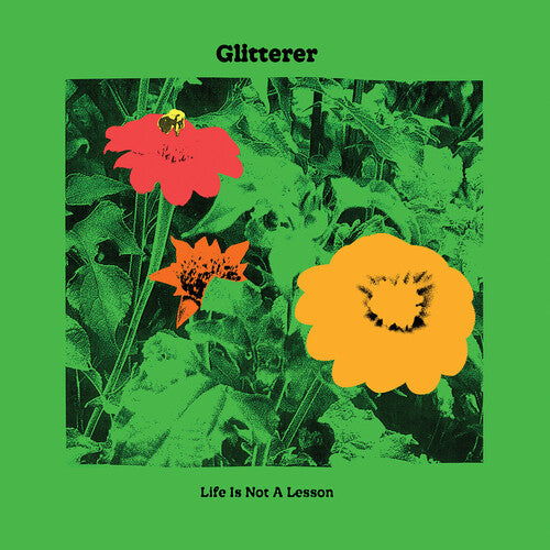 Glitterer: Life Is Not A Lesson / RECORD