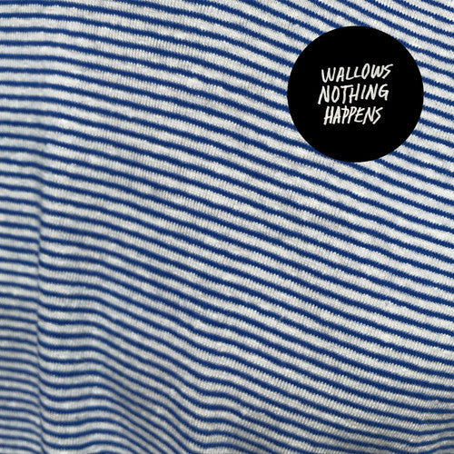 Wallows: Nothing Happens / RECORD