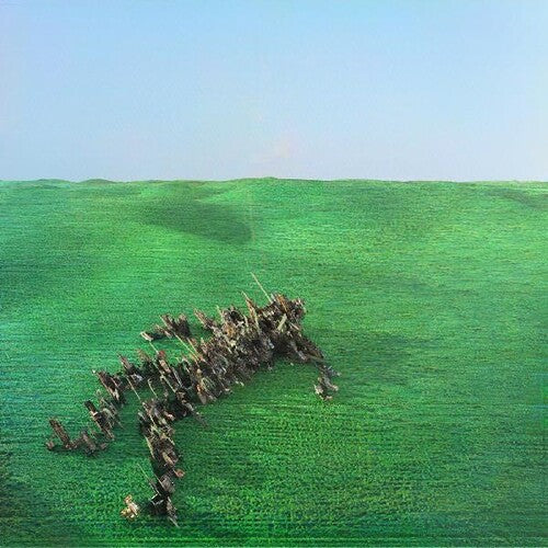 Squid: Bright Green Field / RECORD