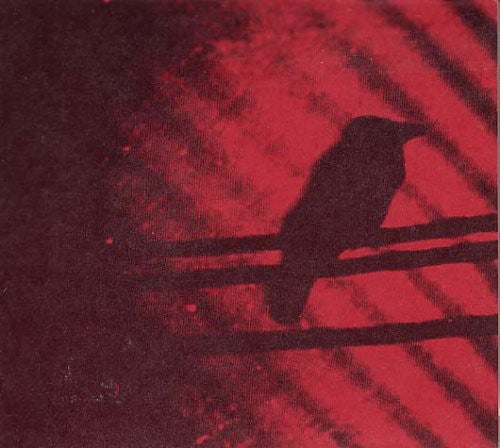 A Silver Mt. Zion: Born Into Trouble As the Sparks Fly Upward / RECORD