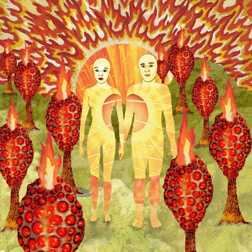 Of Montreal: The Sunlandic Twins / RECORD