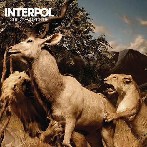 Interpol: Our Love To Admire / RECORD
