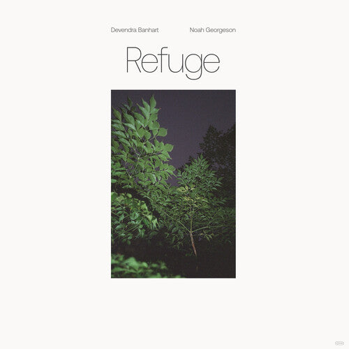 Devendra Banhart: Refuge (Blue Seaglass Wave Translucent Vinyl) / RECORD