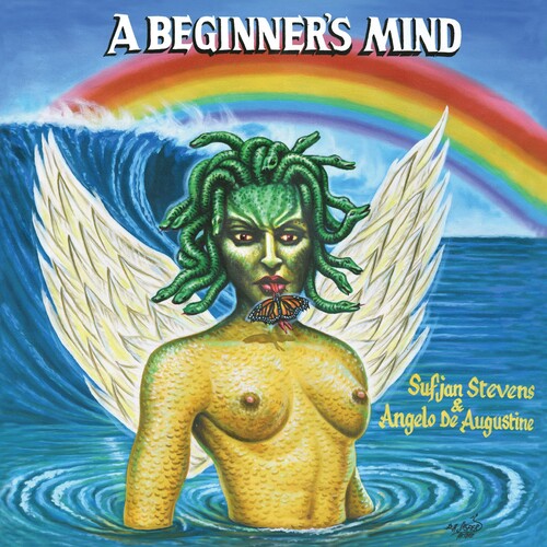 Sufjan Stevens: A Beginner's Mind / RECORD