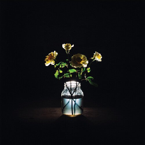 Billy Strings: Renewal / RECORD