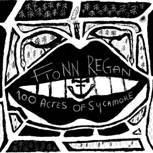 Fionn Regan: 100 Acres Of Sycamore / RECORD