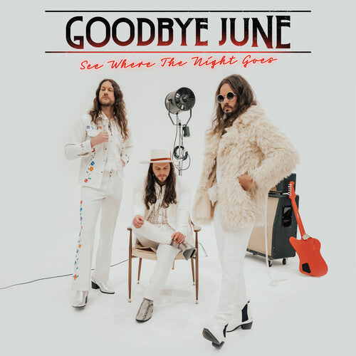 Goodbye June: See Where The Night Goes / RECORD