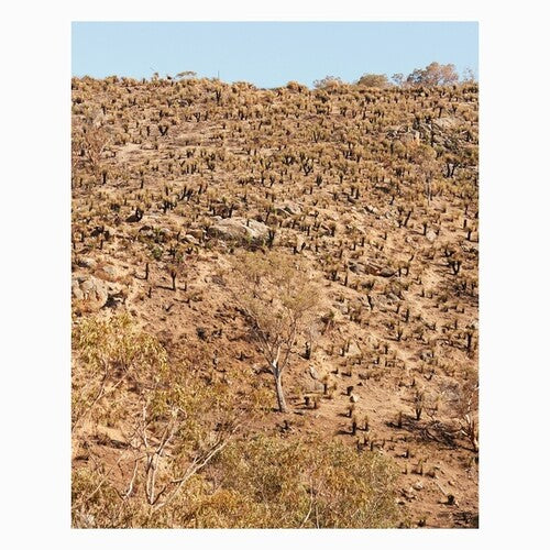 Andrew Pekler: Palimpsests / RECORD