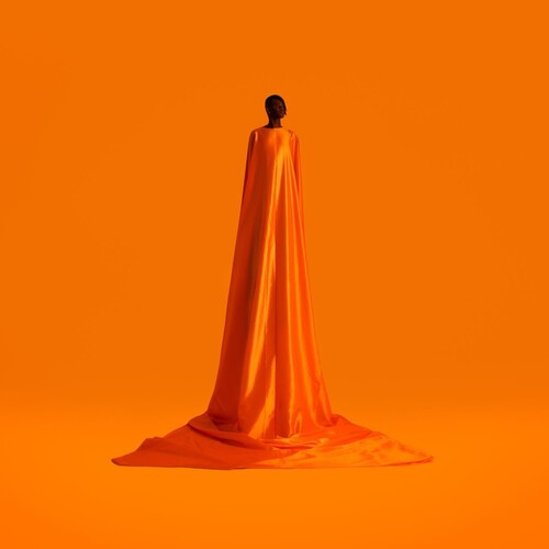 Wayne Snow: Figurine / RECORD