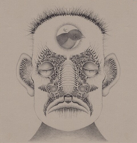 Brian Thummler: Ghost Birds  / Vinyl LP