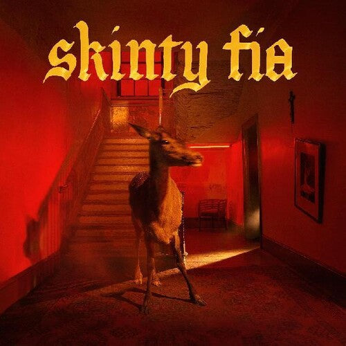 Fontaines D.C.: Skinty Fia / RECORD